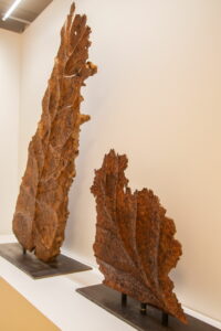 Fragments